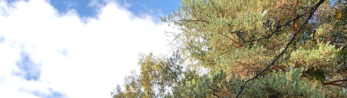 Col de Pontis