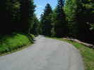 Auteur : Siberian Wolf 10, Reactie : Route boisée et toujours aussi pentue sur ce final du versant ouest