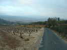 Author : Siberian Wolf 10, Comment : Les deux premiers kilomètres grimpent à travers les vignes. Photo dans le sens de la descente avec Tuchan plus bas.