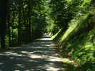 Author : Siberian Wolf 10, Comment : La route est ombragée et à cet endroit (5 km du sommet) plus difficile que les kilomètres précédents.
