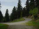 Author : Siberian Wolf 10, Comment : Montée dans une forêt de conifères dans le 5 derniers kilomètres