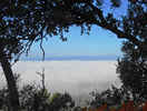 Author : Elki, Comment : Vue Nord 2 km avant le sommet: on sort de la mer de  nuages