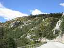 Auteur : kangooman, Commentaire : après le passage "aérien" (tunnels) juste après Gréolieres village. La suite amène sur un plateau.... assez fade vu le départ....