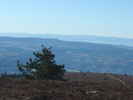 Author : Siberian Wolf 10, Comment : Février 2011. Vue depuis la table d'orientation de Roche Courbe au-dessus du col. Vue sur les monts du Cantal à gauche et le massif du Cézallier à droite.