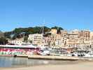 Auteur : Pierre P, Commentaire : Port de Soller, plus sympa que St-Trop !