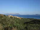 Auteur : kangooman, Reactie : l'île Tavolara (sommet ( sommet 580M), vue depuis Golfo Aranci.