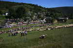 Author : Siberian Wolf 10, Comment : Photo téléchargée sur Wikimédia Commons (auteur: Ancalagon): fête de la transhumance à l'Espérou en juin 2009