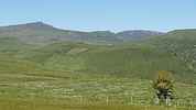 Author : Roger D, Comment : Vue sur le massif Cantalien depuis le col de la Griffoul. 