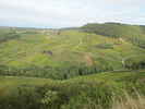 Montée : Côte de Château-Chalon depuis Voiteur, Commentaire : On passe au milieu des vignes.
