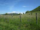 Montée : Col de Fay depuis Torcieu, Commentaire : On est à une altitude où on trouve encore des champs clos de barbelés. 