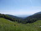 Author : marco33, Comment : 16/06/21 : La vue sur la plaine d'Alsace avant le col Amic.