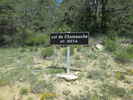 Montée : Col de Chamauche depuis La Motte Chalancon, Commentaire : Le panneau sommital planté sur un talus très fleuri au printemps. 