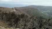 Montée : Sant Pere de Rodes depuis Vilajuiga, Commentaire : Paysage de désolation, en descendant vers la Selva de Mar , après l'incendie de Juin 2021
