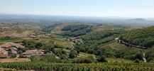 Montée : Col du Fut d'Avenas depuis Le Fief, Commentaire : Entre le col de Durbize et le col du Fut d'Avenas, la vue est splendide sur le vignoble du Beaujolais et la plaine de Saône. 