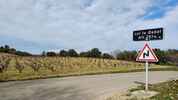 Montée : Col du Débat depuis Cairanne, Commentaire : La vigne est omniprésente !
