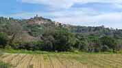 Montée : Col de Taillude depuis L'Amiralité, Commentaire : Regard en arrière sur la colline de Grimaud. 