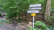 Montée : Grand Wintersberg depuis Niederbronn les Bains, Commentaire : Le début de la route forestière, au-dessus de Niedrebronn-les-Bains. 