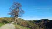 Montée : Col du Thort depuis Villefort, Commentaire : Sur la voie cyclable qui domine les gorges du Chassezac&period; 