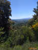 Author : Elki, Comment : Une vue furtive sur Draguignan