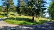 Montée : Chalet du Suchet depuis Rances, Commentaire : Au carrefour de la route qui monte de Rances et de celle qui descend de la Poyette&period; 