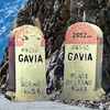 Montée : Passo di Gavia depuis Bormio, Commentaire : virtual cyclist