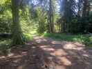 Author : Marc V, Comment : Dans le bois&comma; tout proche de la route&comma; au niveau de ce qui pourrait &ecirc;tre le col du Pradier&comma; d'apr&egrave;s la carte IGN&period;&period;&period;