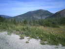 Author : Siberian Wolf 10, Comment : En juin 2026 lors de la &laquo; Colnago GF Mont Ventoux &raquo;&period; Vue au cours de l'ascension&period;