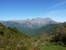 Montée : Col de Scalella depuis Bastelica, Commentaire : Le Monte d'Oro, depuis le col de Scallela