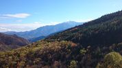 Author : Koenig, Comment : Vue sur le Canigou